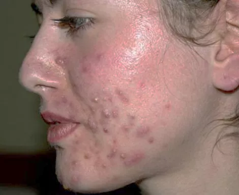 Modul 2 - Praktična nastava